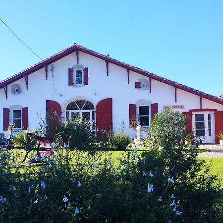 Bed and Breakfast La Coquille Pouillon Esterno foto