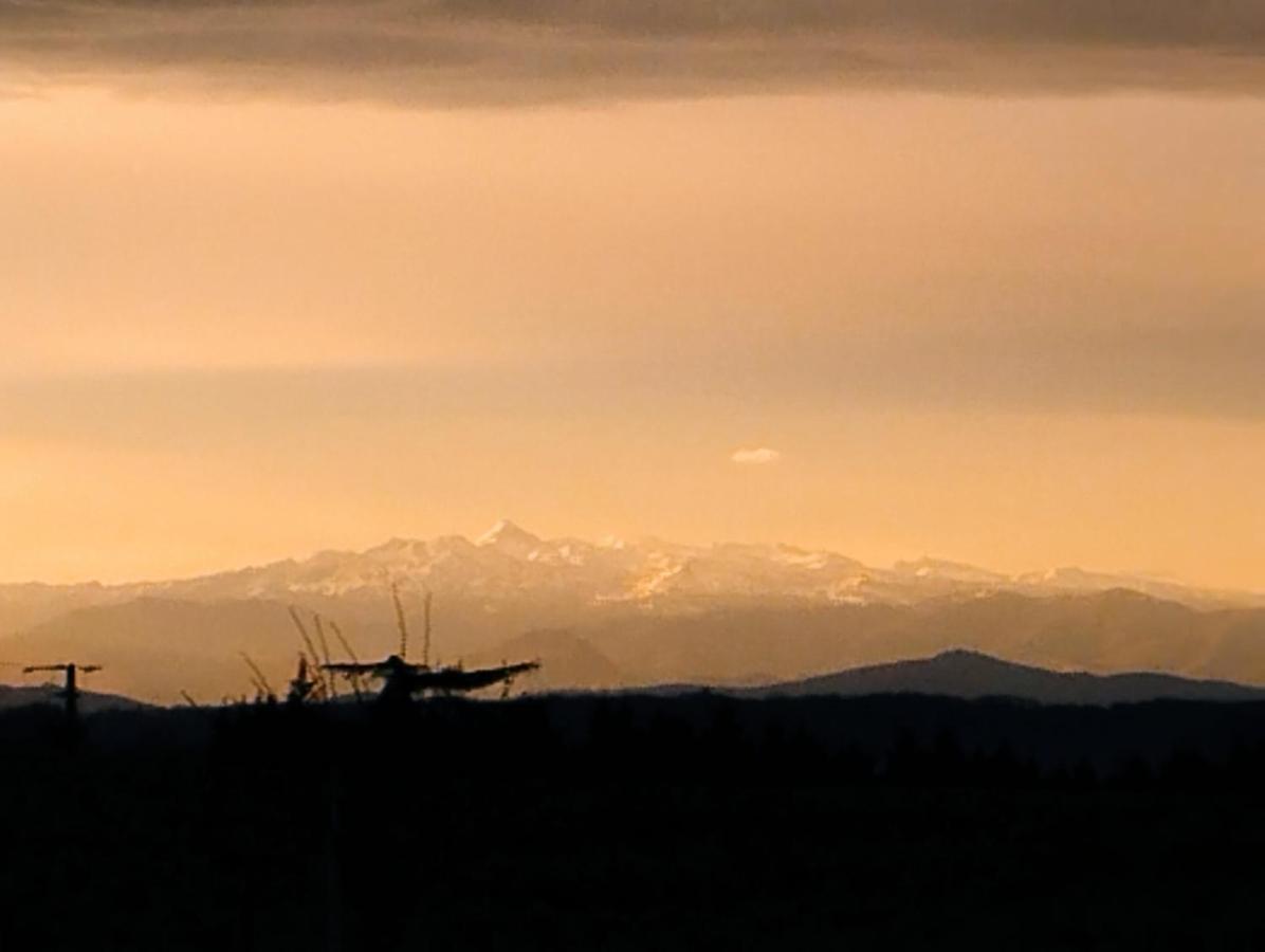 Bed and Breakfast La Coquille Pouillon Esterno foto